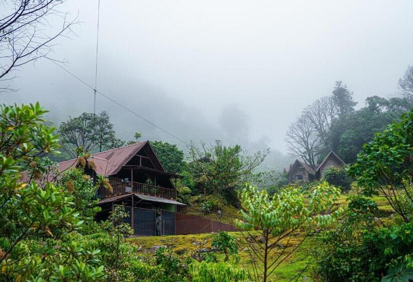민박 Tree Trek Boquete Adventure Park