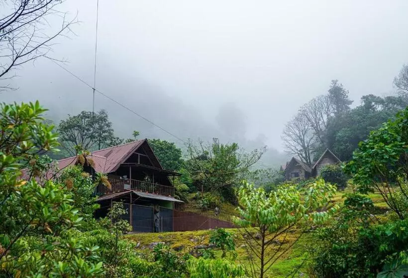 Nocleg ze śniadaniem Tree Trek Boquete Adventure Park