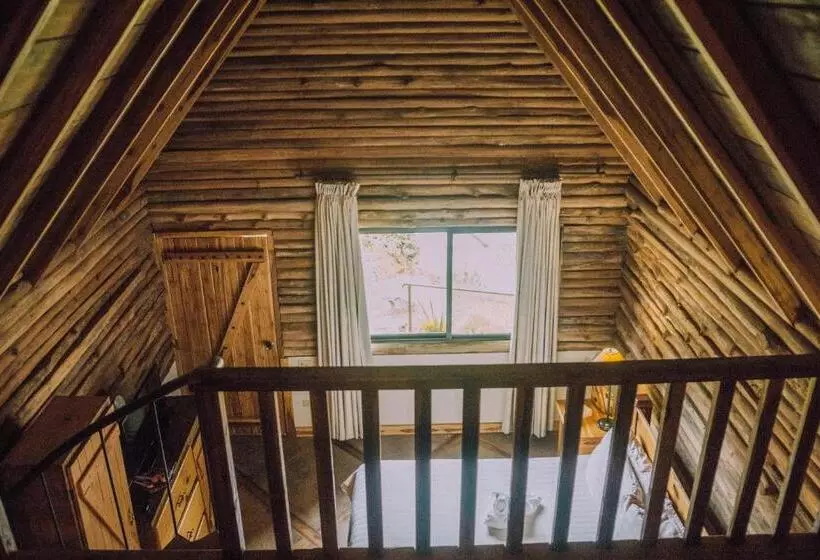 Nocleg ze śniadaniem Tree Trek Boquete Adventure Park