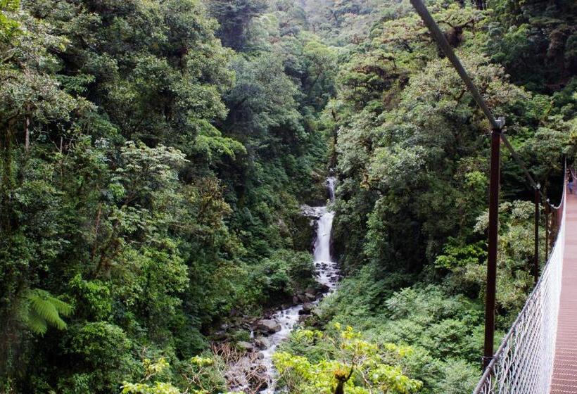 민박 Tree Trek Boquete Adventure Park