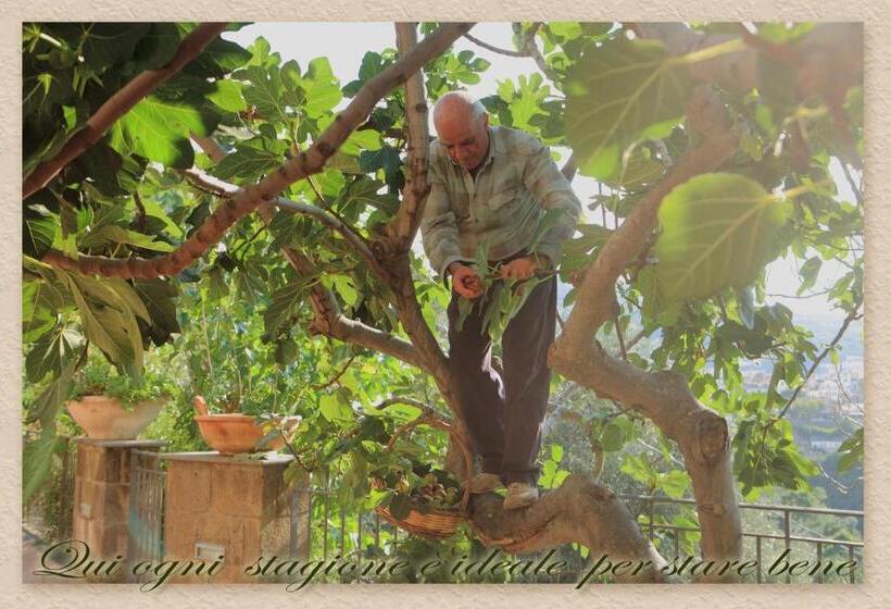 צימר Villa Ketty Resort