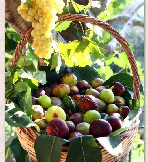 צימר Villa Ketty Resort