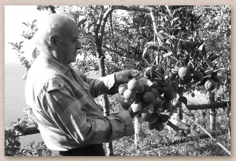 צימר Villa Ketty Resort