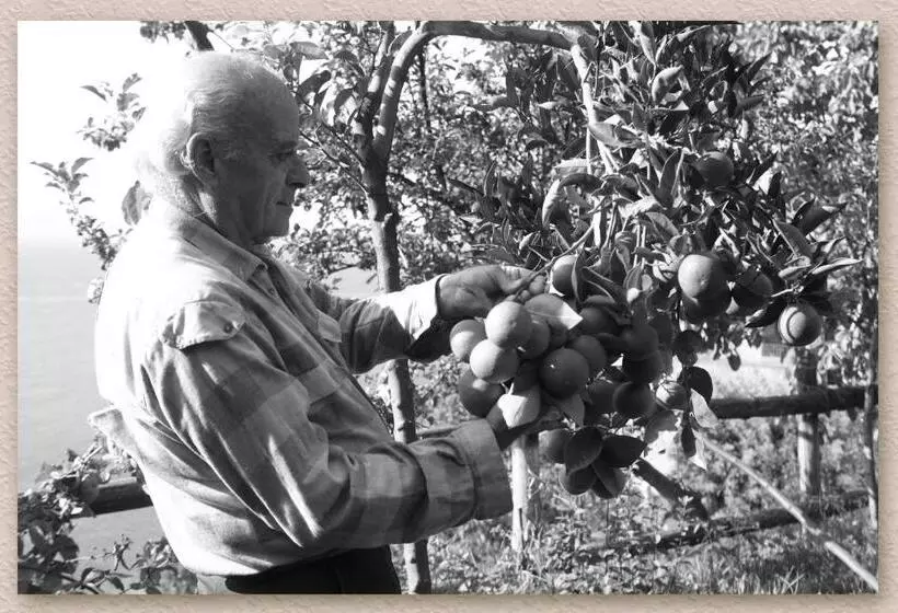 צימר Villa Ketty Resort