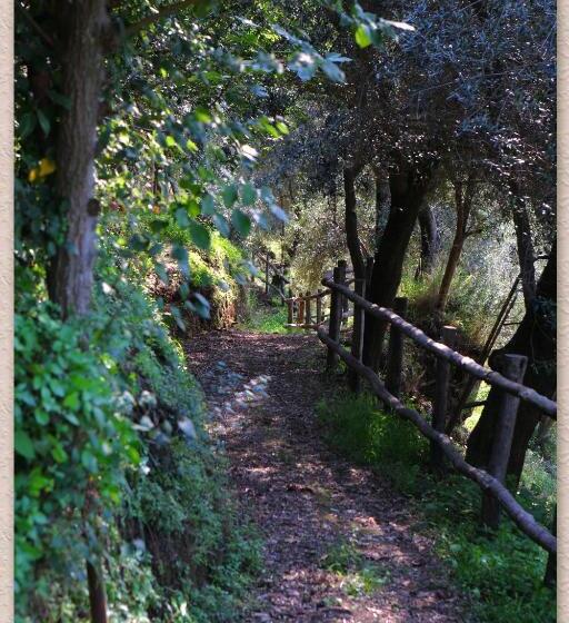 צימר Villa Ketty Resort