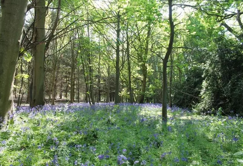 Colston Hall Farmhouse B&b