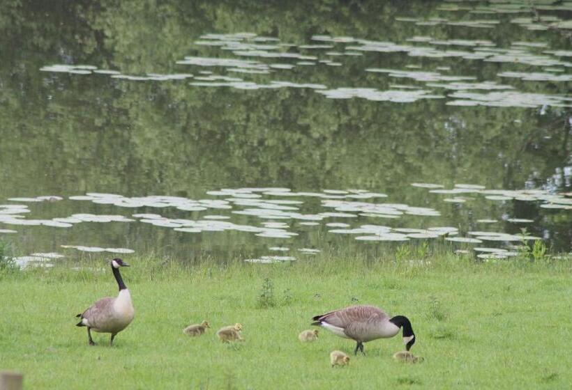 Colston Hall Farmhouse B&b