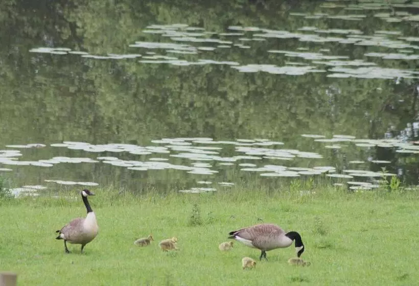 Colston Hall Farmhouse B&b