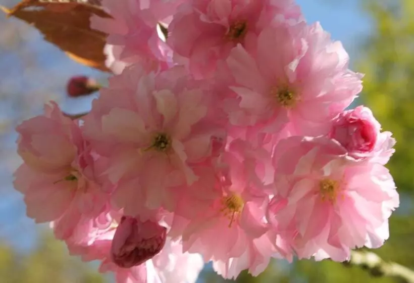 Colston Hall Farmhouse B&b