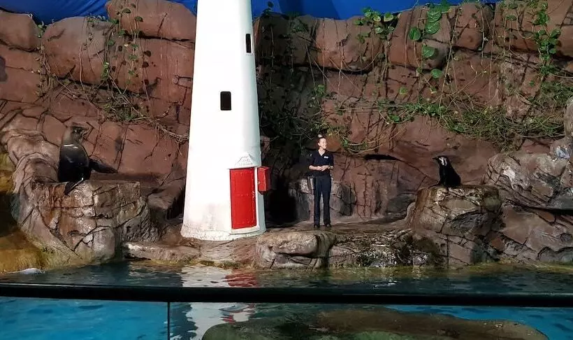 Excellsior Apartments