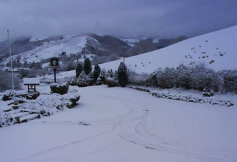 酒店 Britannia Inn