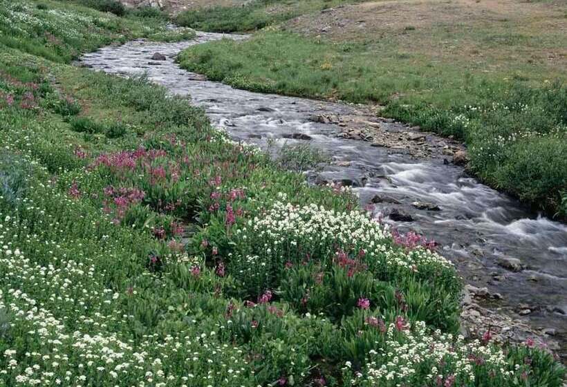 酒店 Britannia Inn