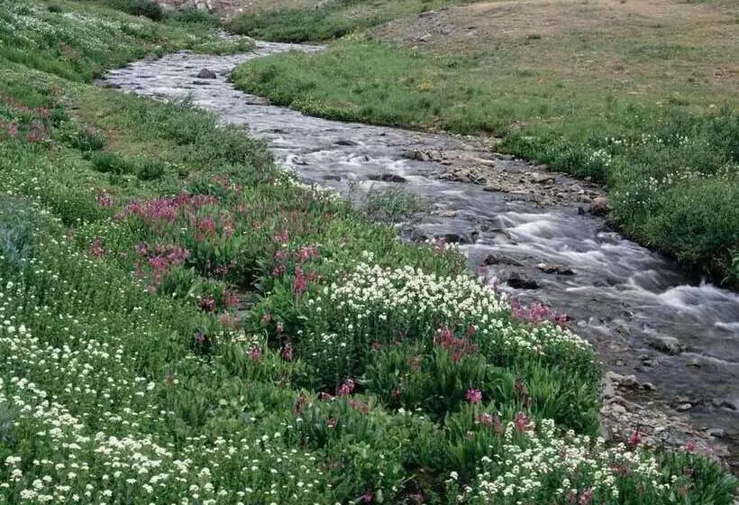 호텔 Britannia Inn