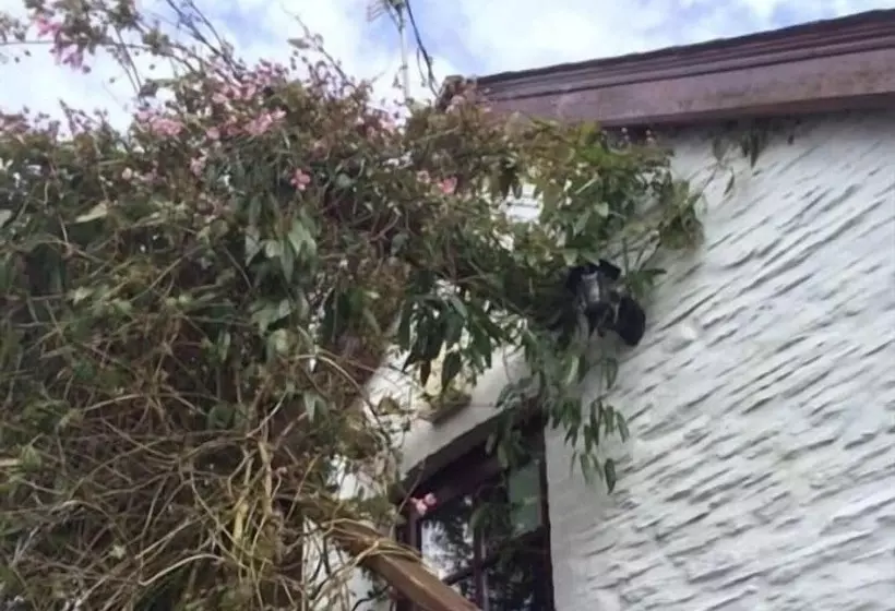 酒店 Jabajak Vineyard Restaurant & Rooms