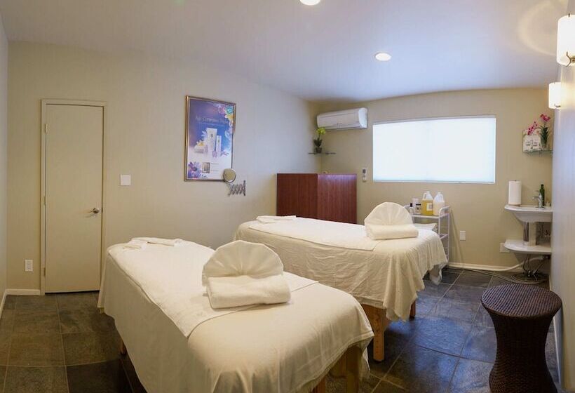 فندق Lido Palms Resort And Spa