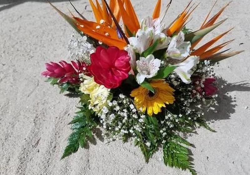 هتل The Palms Oceanfront Suites