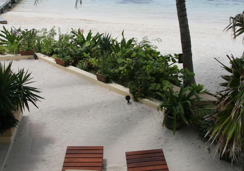 هتل The Palms Oceanfront Suites