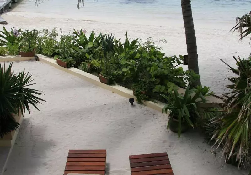 酒店 The Palms Oceanfront Suites