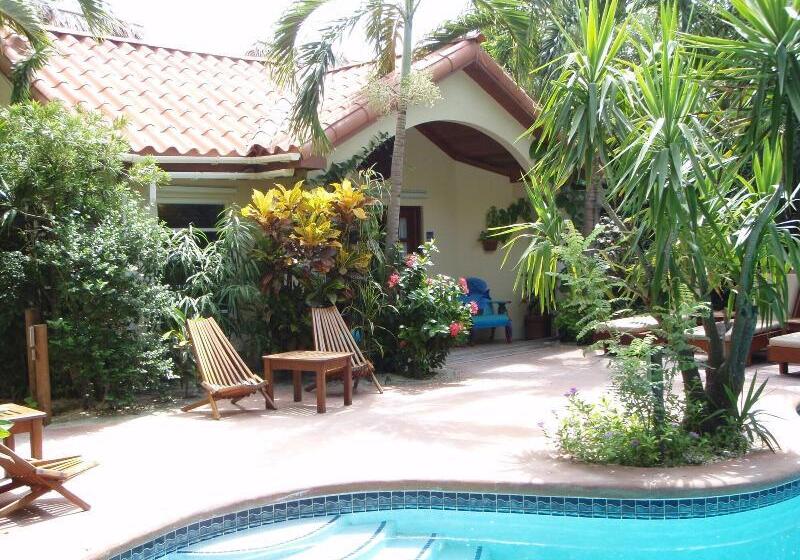 هتل The Palms Oceanfront Suites