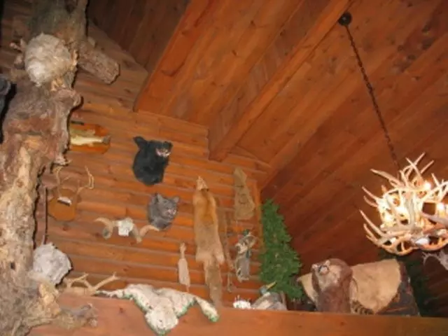 Hotelli The Village At Indian Point Resort