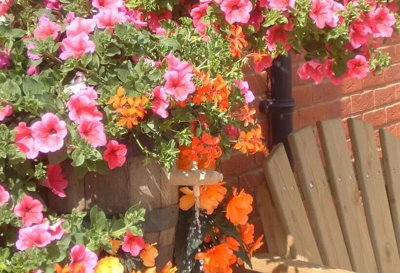 בית מלון כפרי The Walnut Tree Inn