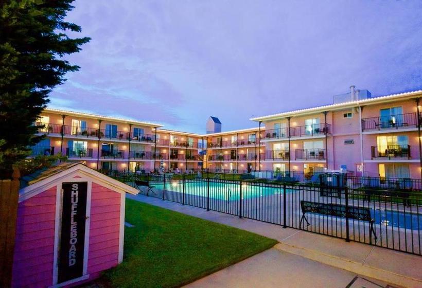 فندق على الطريق Periwinkle Inn