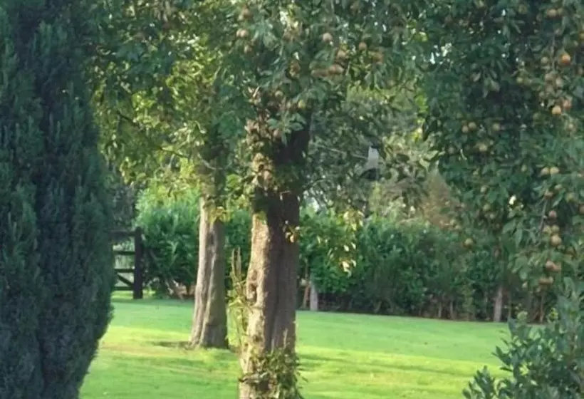 Пансион Ash Farm Country House