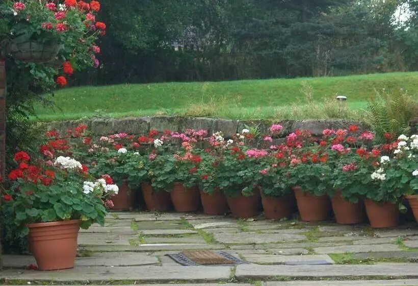 Пансион Ash Farm Country House