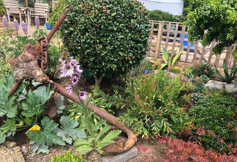 بنسيون Glyn Y Coed