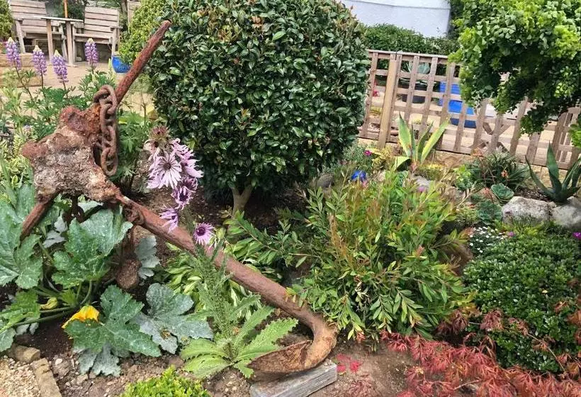 Пансион Glyn Y Coed