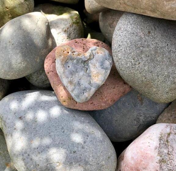 بنسيون Glyn Y Coed