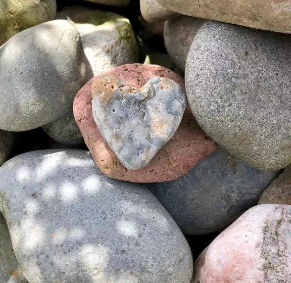 Пансион Glyn Y Coed