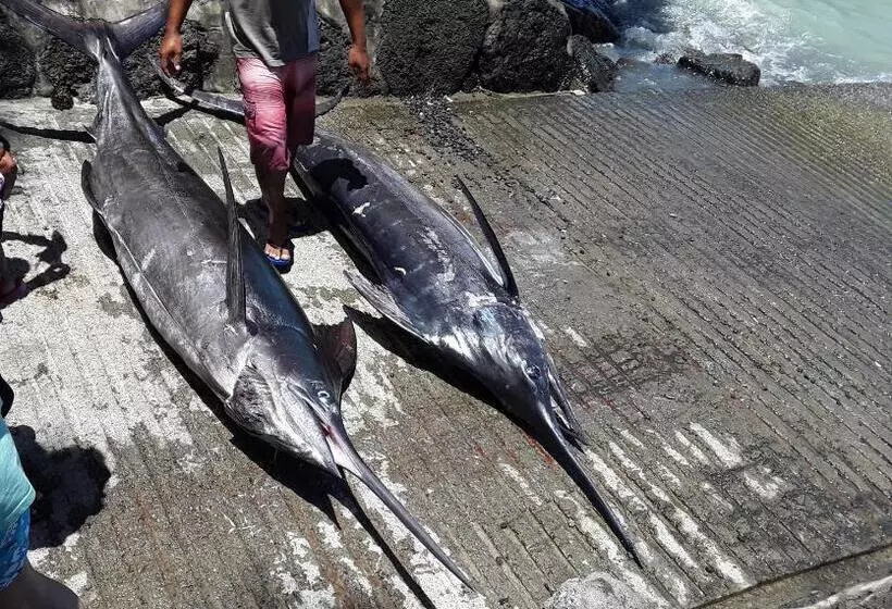 پانسیون La Tonnelle Guest House