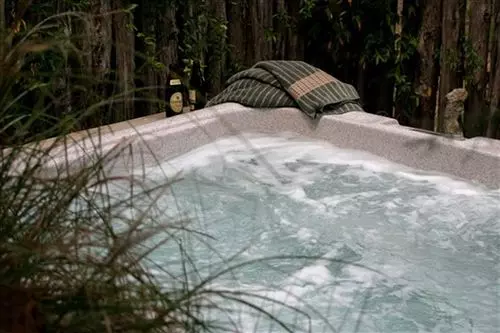 Star Of Texas Bed & Breakfast