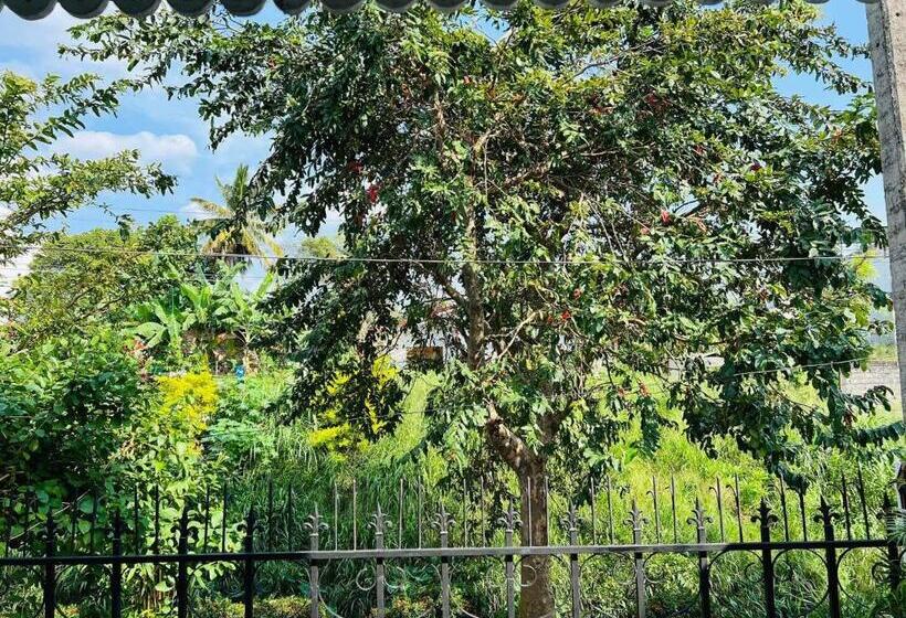 ベッドアンドブレックファースト Happy Villa