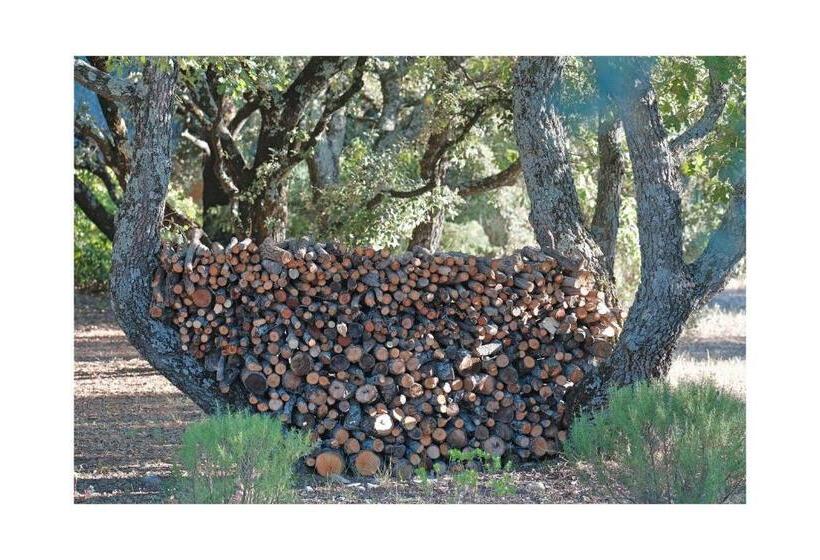 Bed and Breakfast Les Jardins De Sitaara