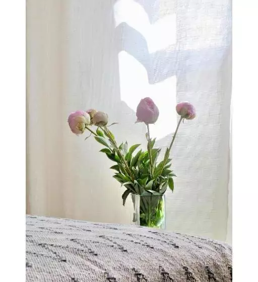 ベッドアンドブレックファースト Les Jardins De Sitaara