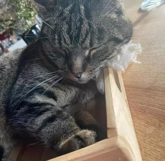 Aamiaismajoitus (B&B) Maison D Hôtes Des Mondfänger