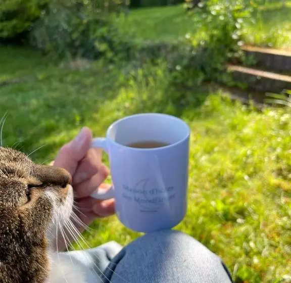 Aamiaismajoitus (B&B) Maison D Hôtes Des Mondfänger