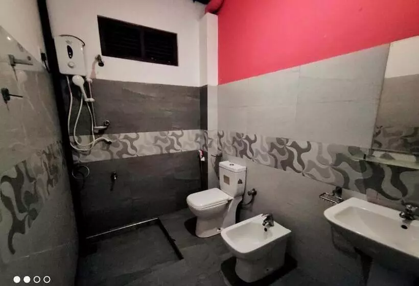 Aamiaismajoitus (B&B) New Richmin