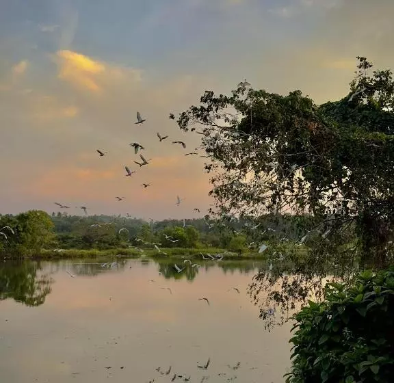Ceylon Lodge   Airport Transit Hostel