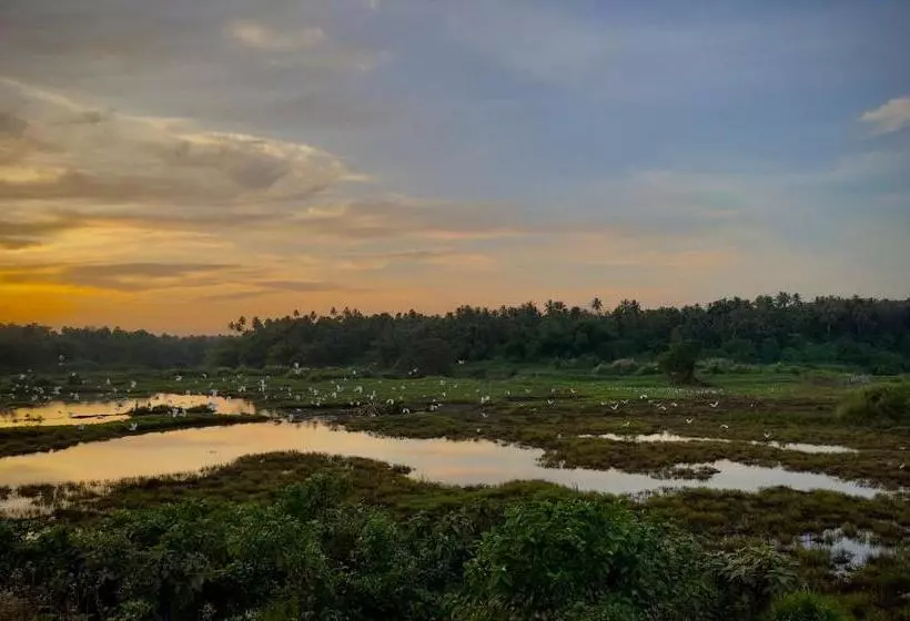 Ceylon Lodge   Airport Transit Hostel