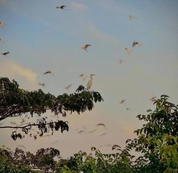 Ceylon Lodge   Airport Transit Hostel