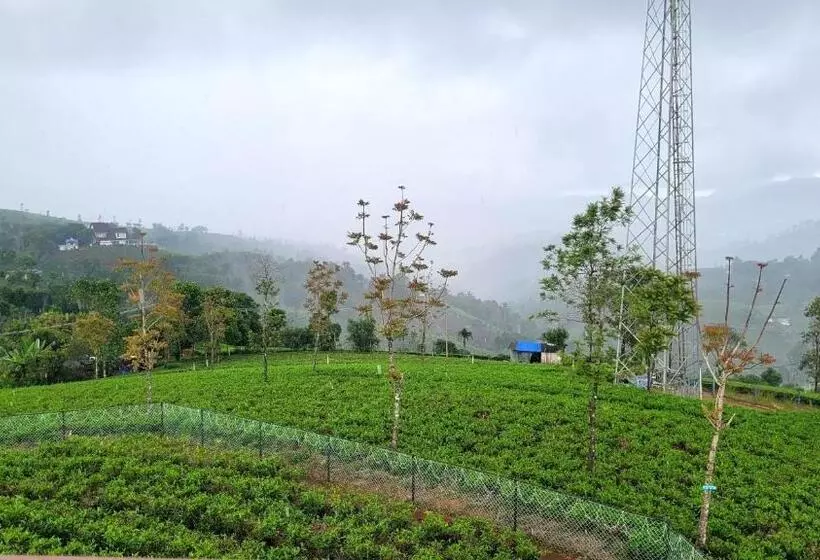 リゾートホテル Cloud Canopy   Tea Garden Family Pool Cottage In Vagamon