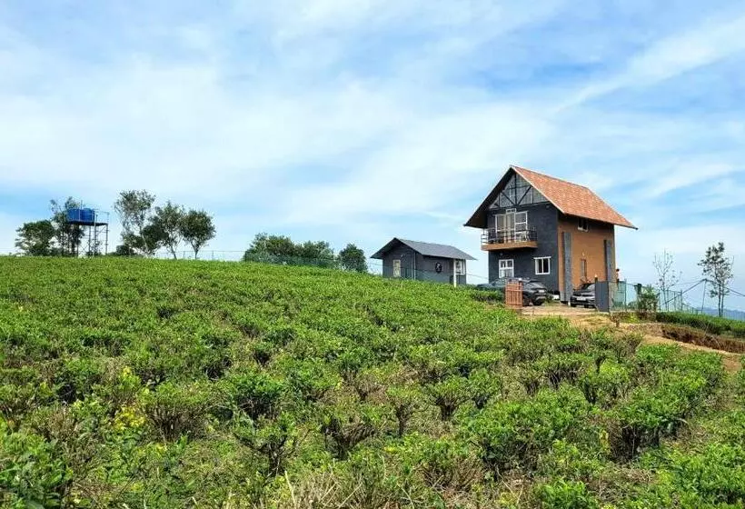 リゾートホテル Cloud Canopy   Tea Garden Family Pool Cottage In Vagamon