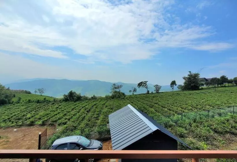 リゾートホテル Cloud Canopy   Tea Garden Family Pool Cottage In Vagamon