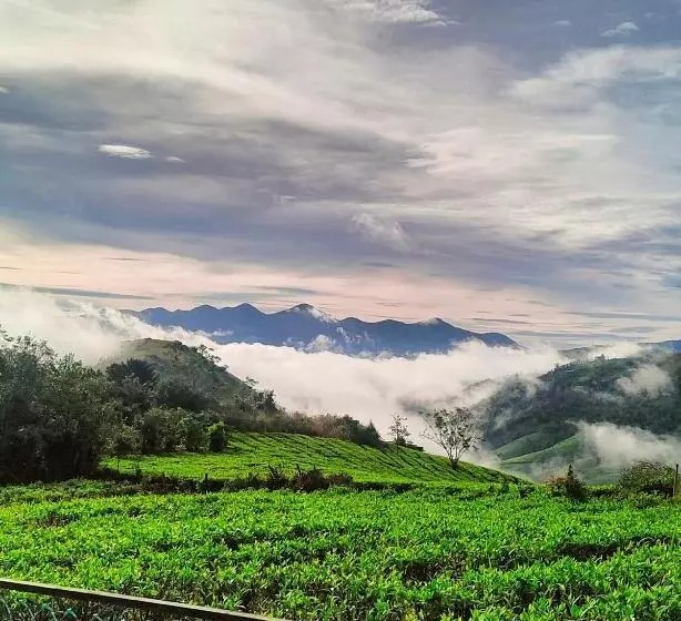 リゾートホテル Cloud Canopy   Tea Garden Family Pool Cottage In Vagamon