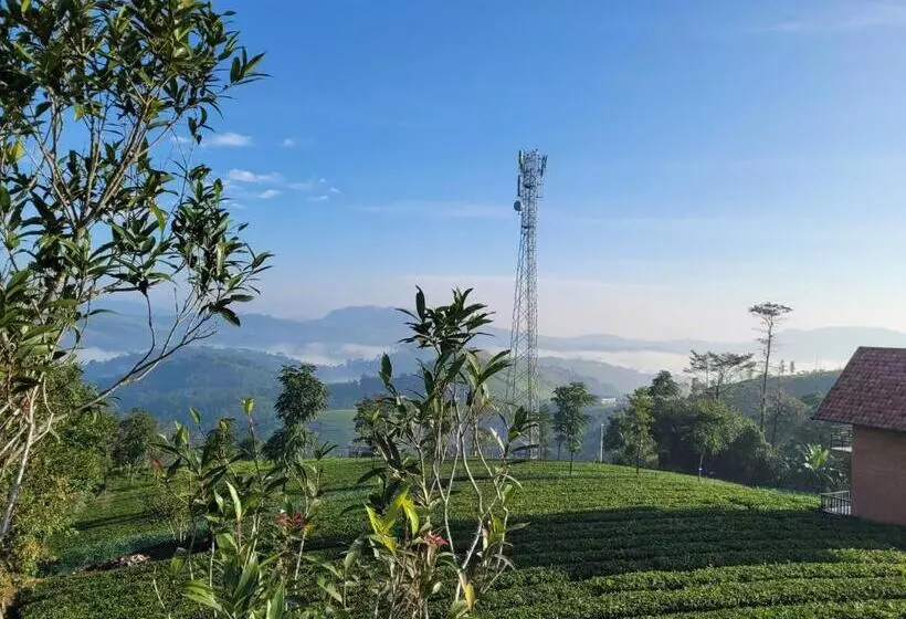 リゾートホテル Cloud Canopy   Tea Garden Family Pool Cottage In Vagamon