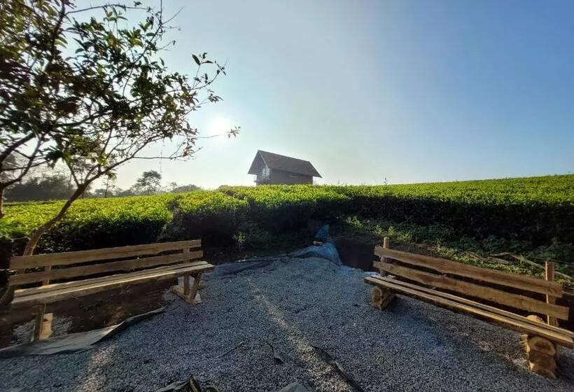 リゾートホテル Cloud Canopy   Tea Garden Family Pool Cottage In Vagamon