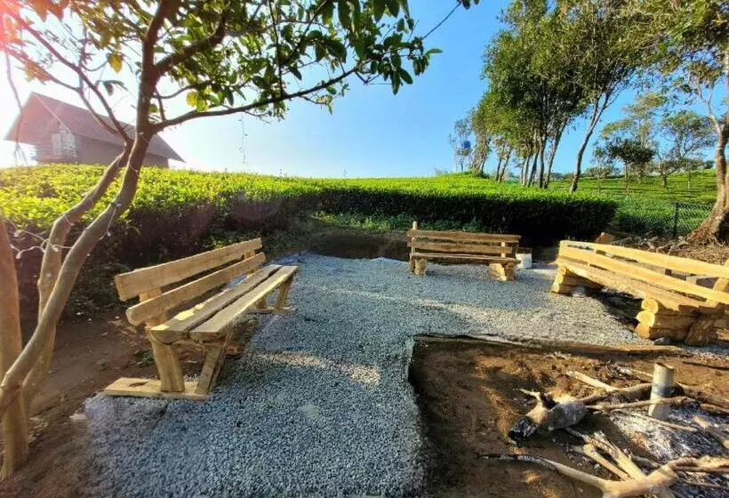 リゾートホテル Cloud Canopy   Tea Garden Family Pool Cottage In Vagamon